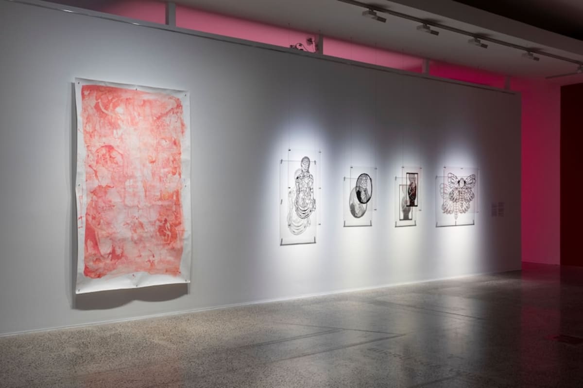 17 Disabled Artists Take Center Stage in Bathurst Show - Image 4