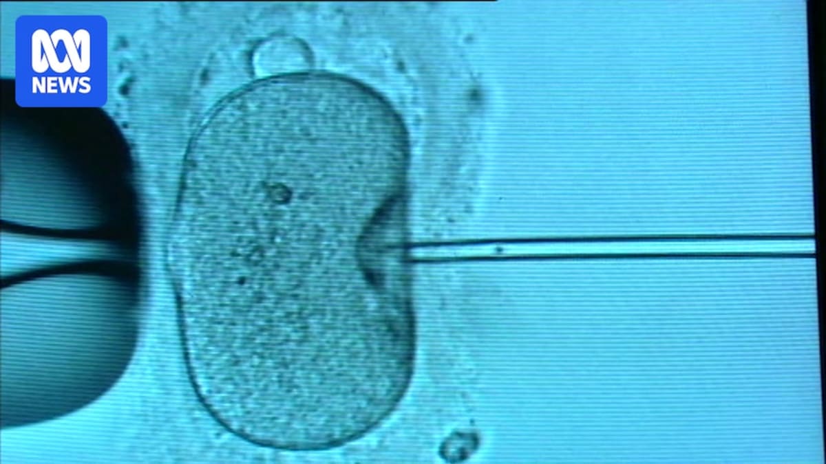 Victoria Tightens IVF Safety Rules After Mix-Ups