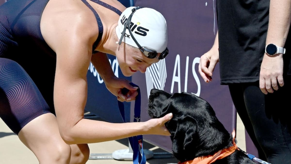 Swimming Australia Adds Therapy Dogs to Reduce Athlete Stress - Image 2