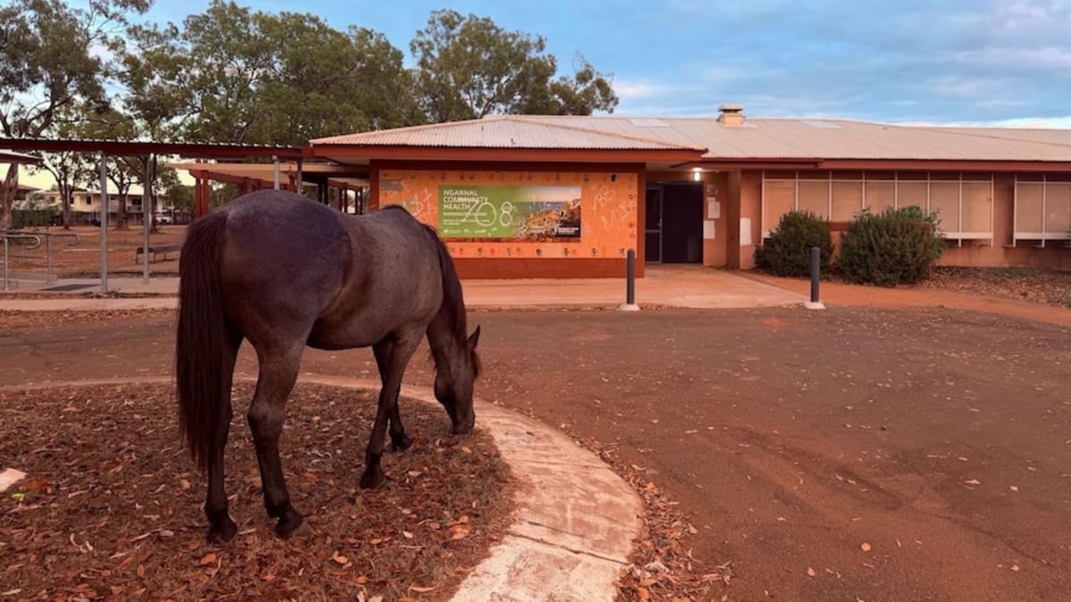 Remote Island Takes Control of Its Health Care Future - Image 2