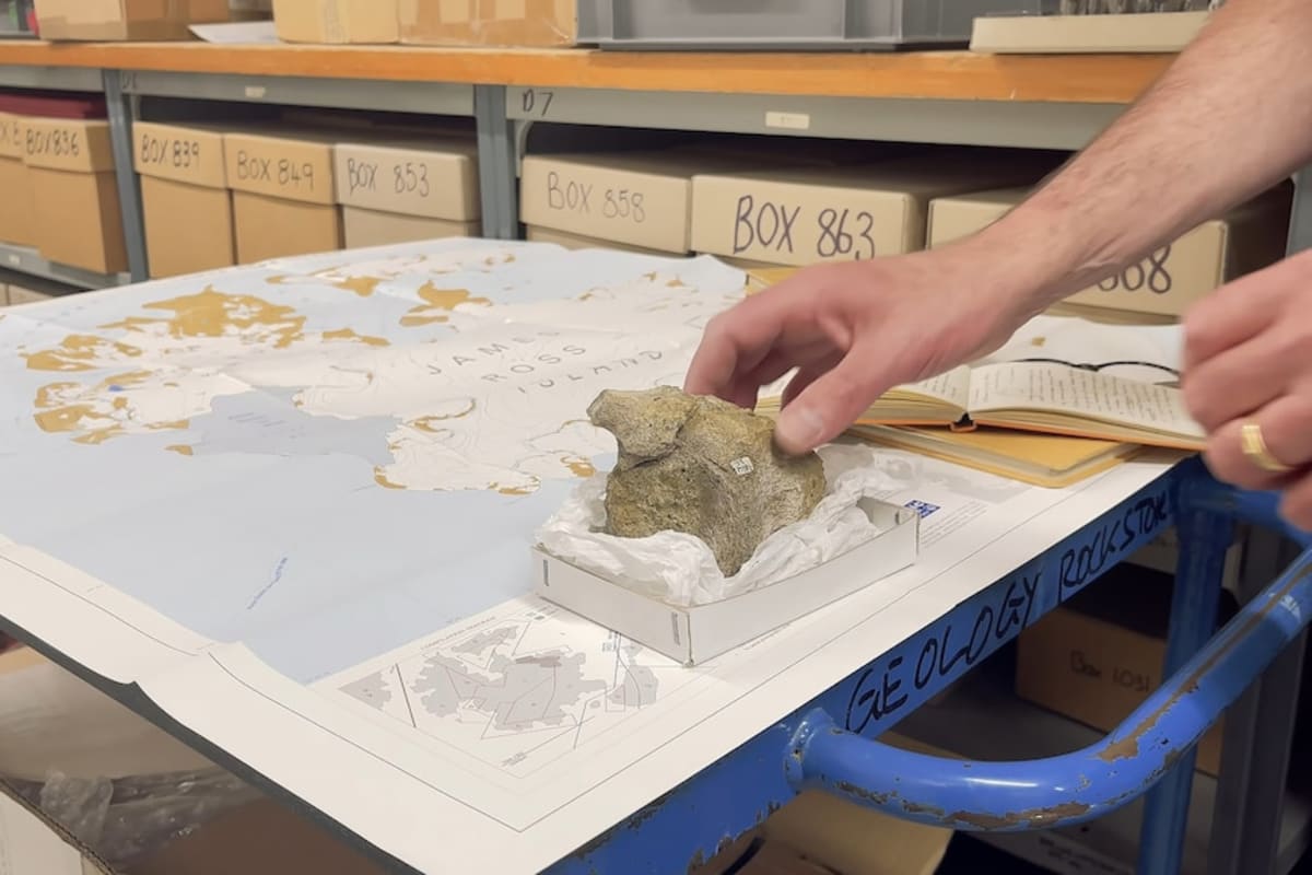 Antarctica's First Dinosaur Bone Sat in Drawer for 40 Years - Image 5