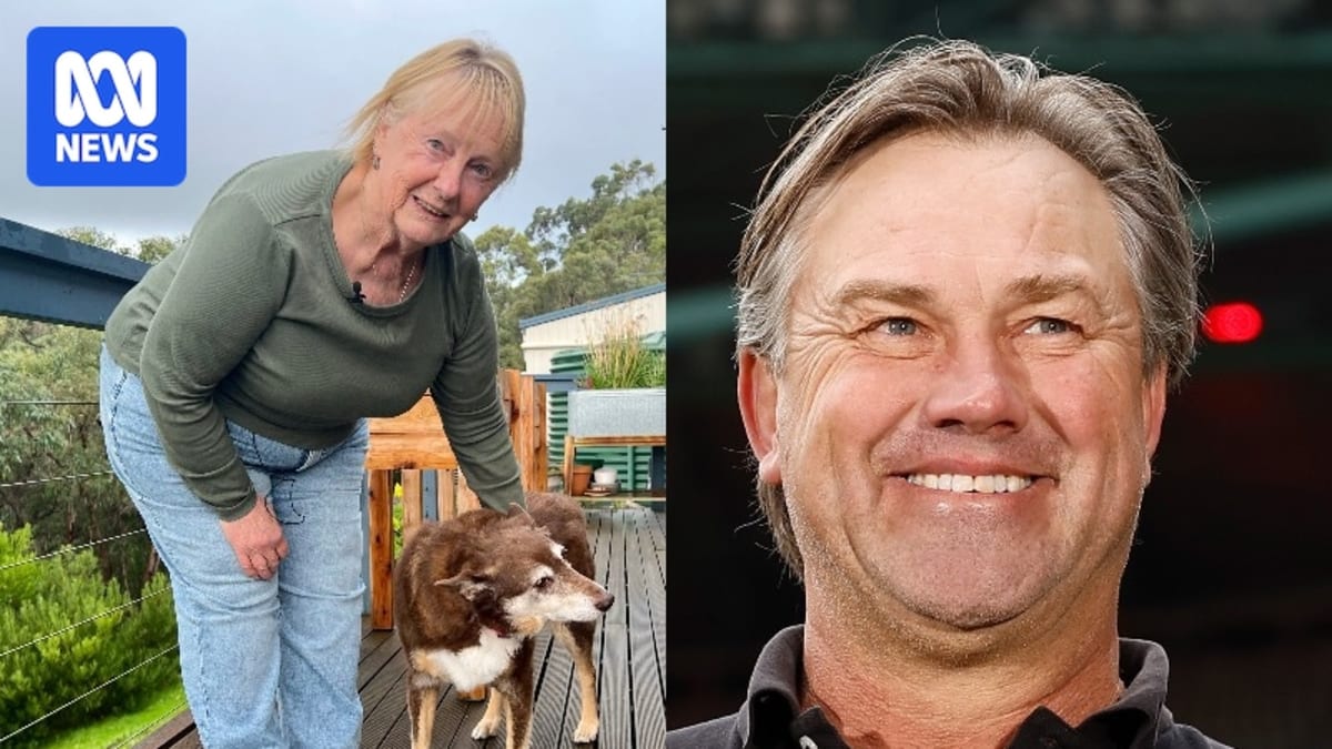 Stranger Holds AFL Legend's Hand After Crash Until Help Arrives