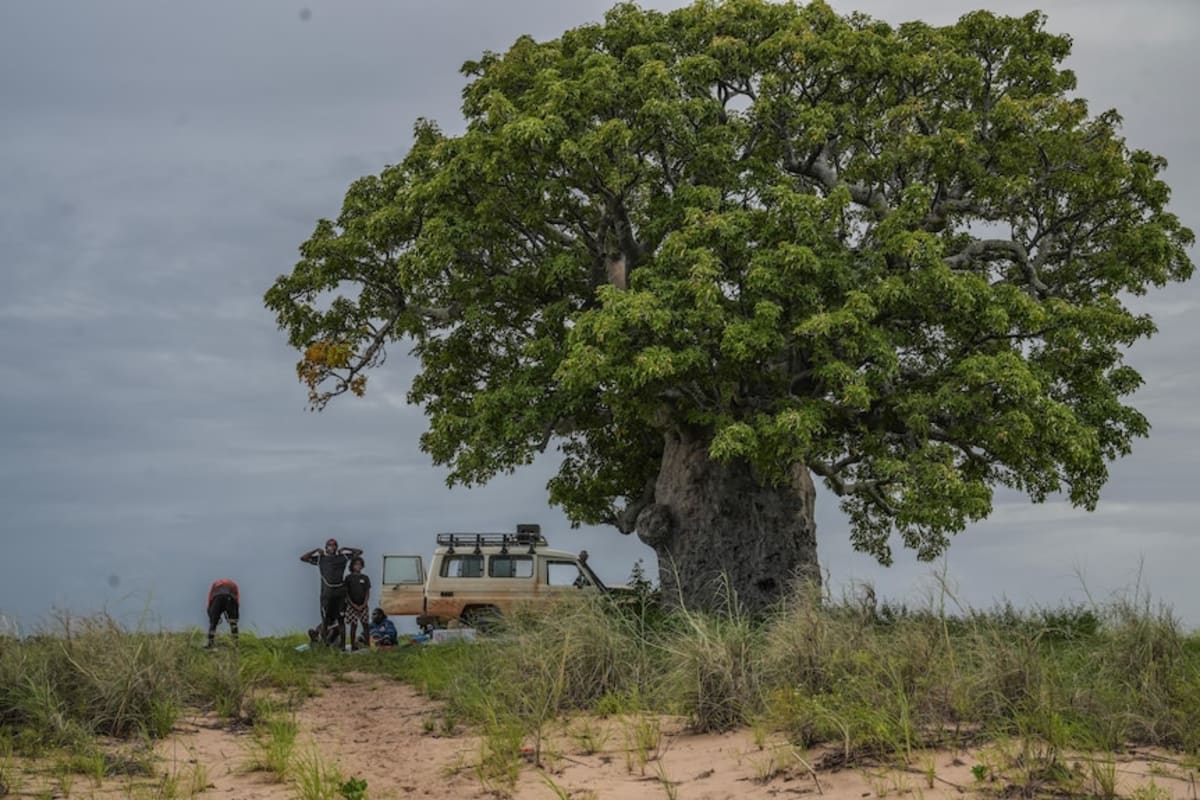 Remote Australian Teens Fish, Sing, and Connect to Culture - Image 4