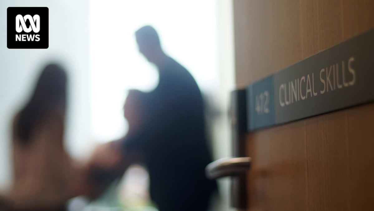 Healthcare professional reviewing patient records on computer screen in medical office setting