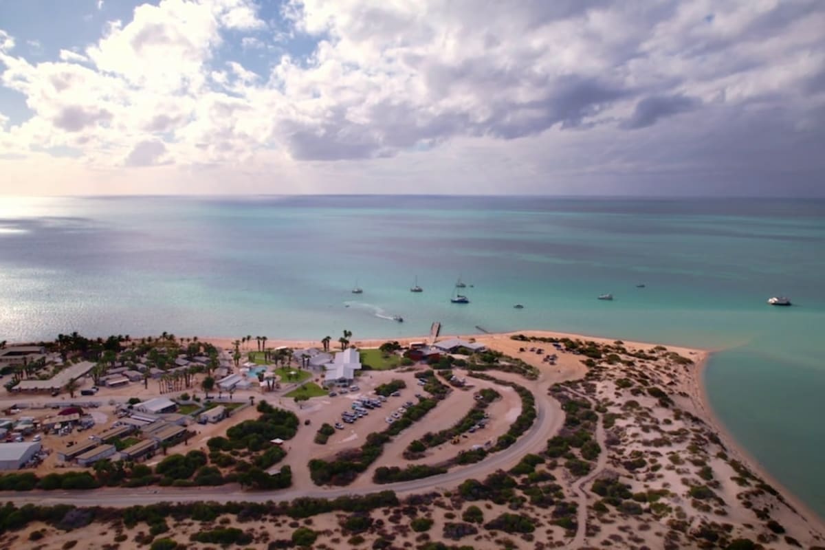 Shark Bay Volunteers Plant 36,000 Seagrass Seedlings by Hand - Image 5