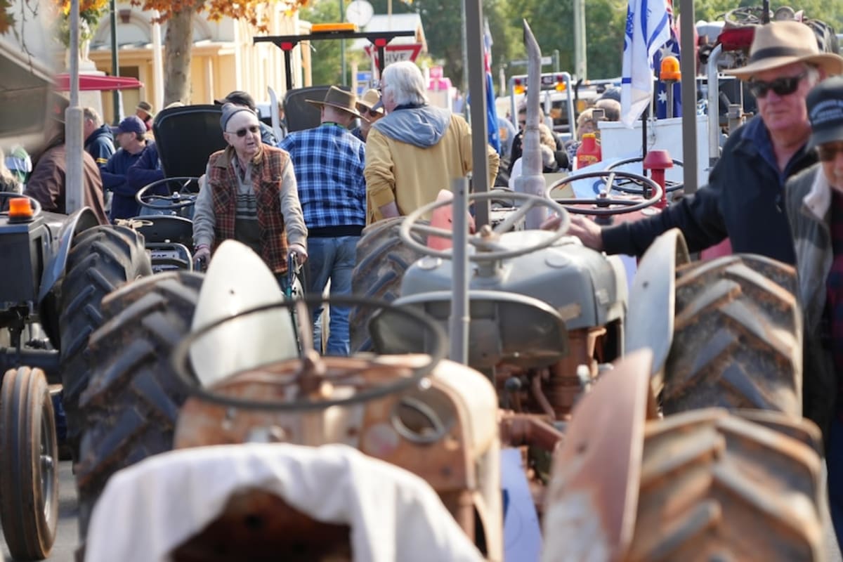 110 Vintage Tractors Celebrate Town's 1956 Flood Victory - Image 5