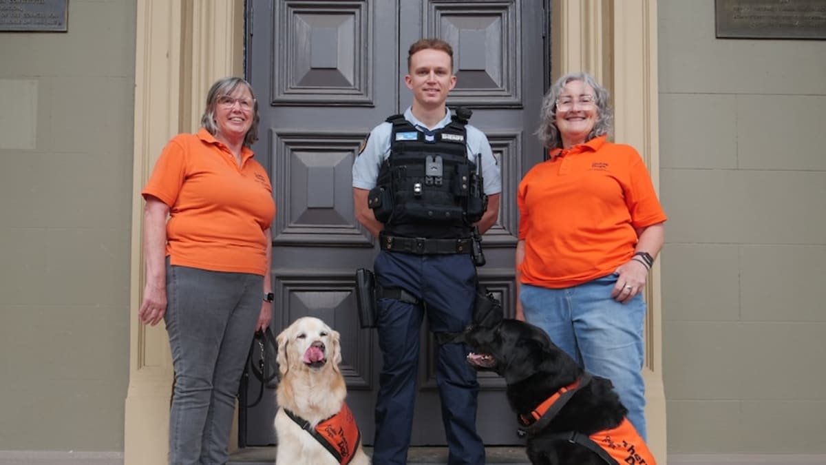 Therapy Dogs Cut Courthouse Anxiety in Orange, NSW - Image 3