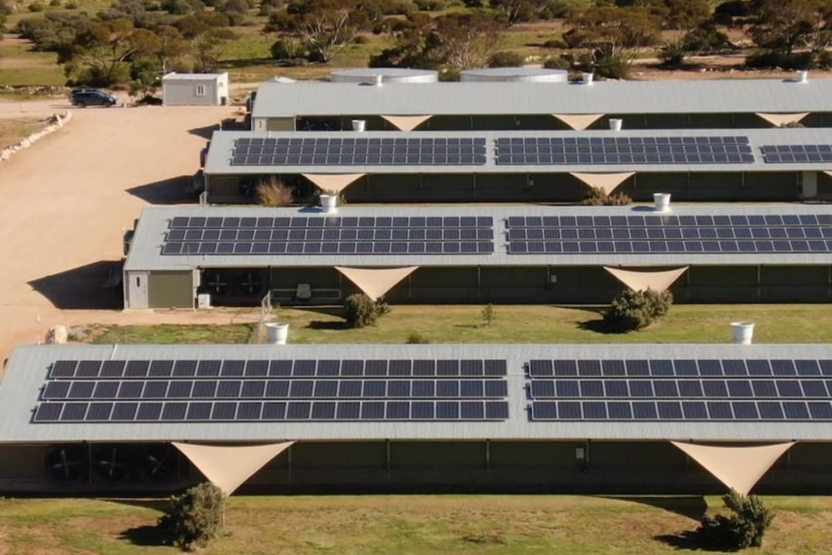 Australia Slashes Solar Costs 20% for Farms and Businesses - Image 5