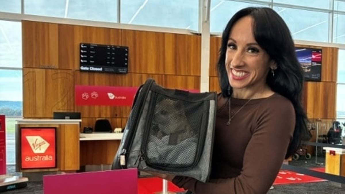 Virgin Australia Expands Pet-Friendly Flights to Adelaide - Image 2