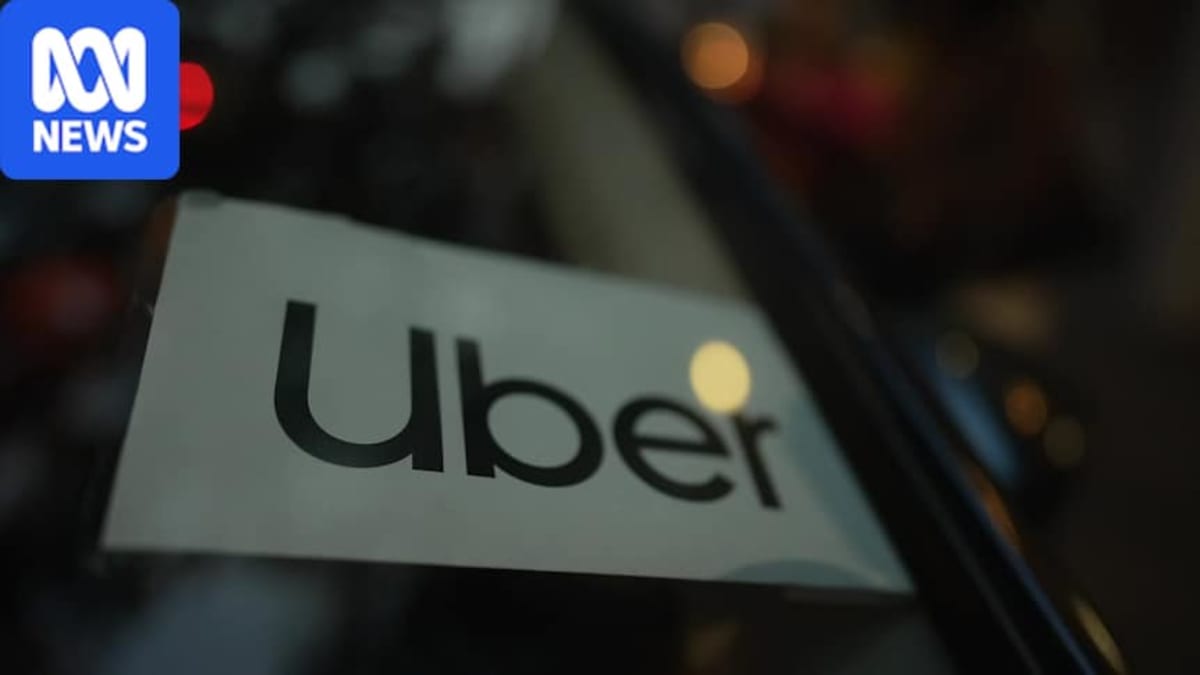 ** Person with guide dog standing near car waiting for rideshare service assistance