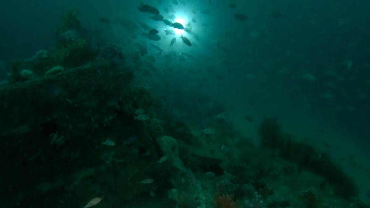 Wind Farm Survey Solves 150-Year-Old Shipwreck Mystery - Image 2