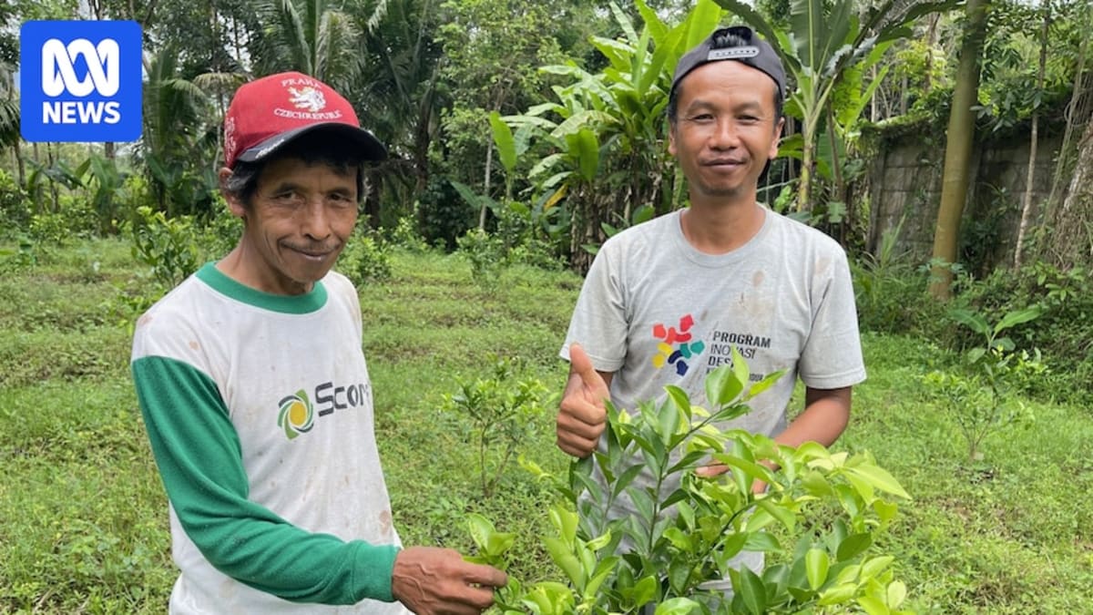 Indonesian Farmers Help Protect Australia's Citrus Industry