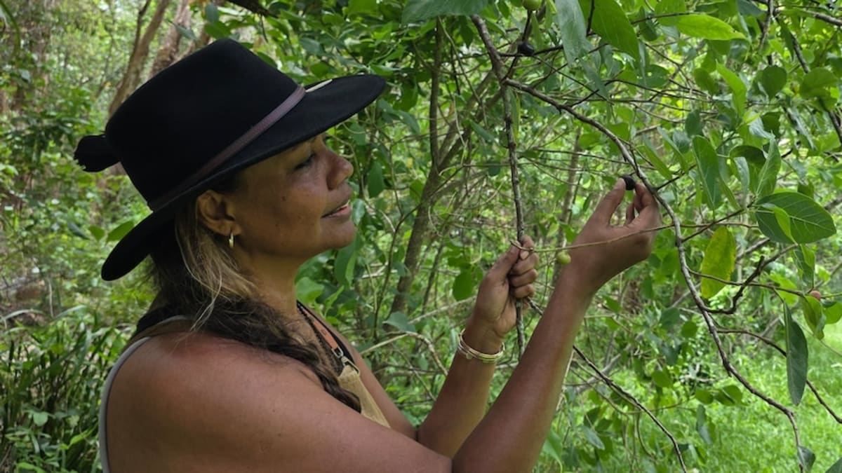 Australian Backyards Hide Free Superfood Treasure Trove - Image 2