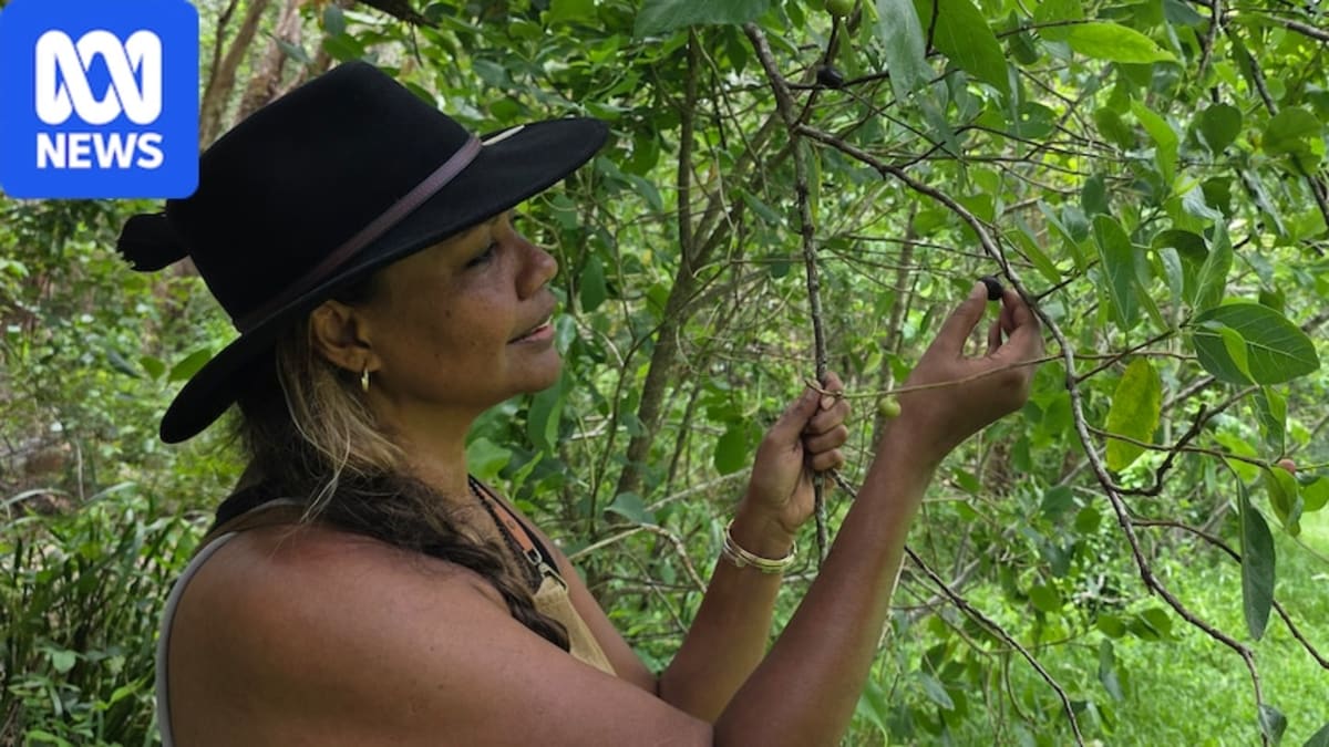 Australian Backyards Hide Free Superfood Treasure Trove