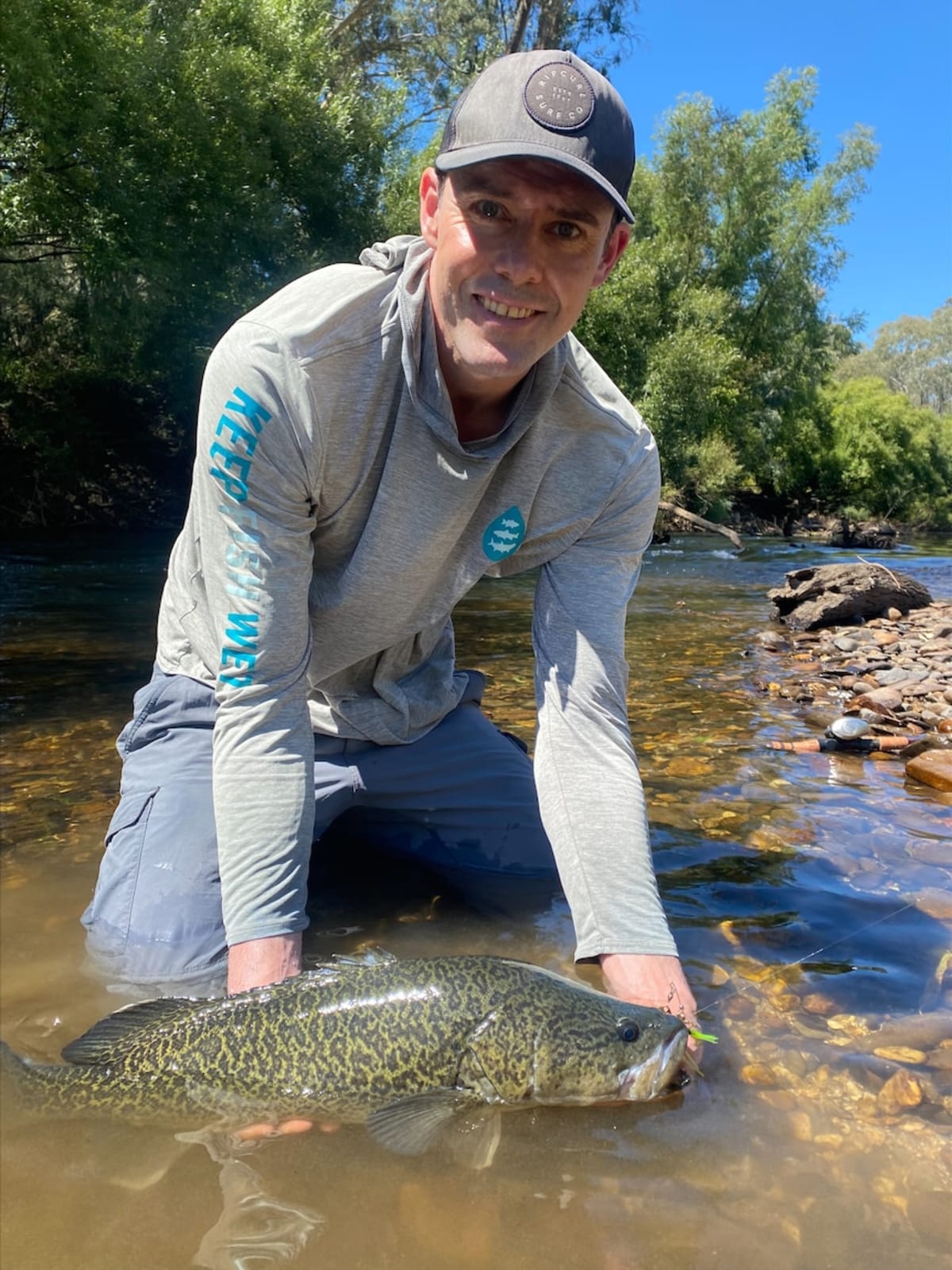 Australia's Iconic Murray Cod Bounces Back After 50 Years - Image 5