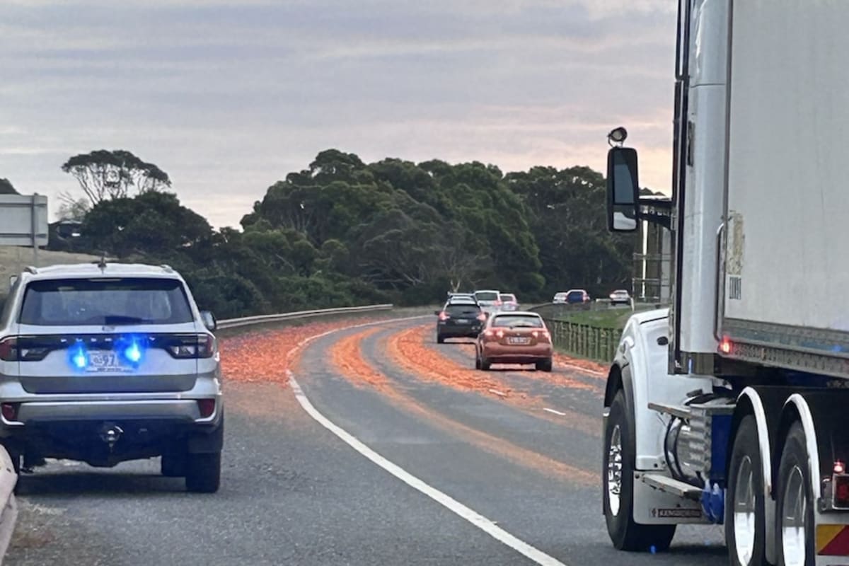Tasmania Highway Buried in Carrots—Again - Image 3
