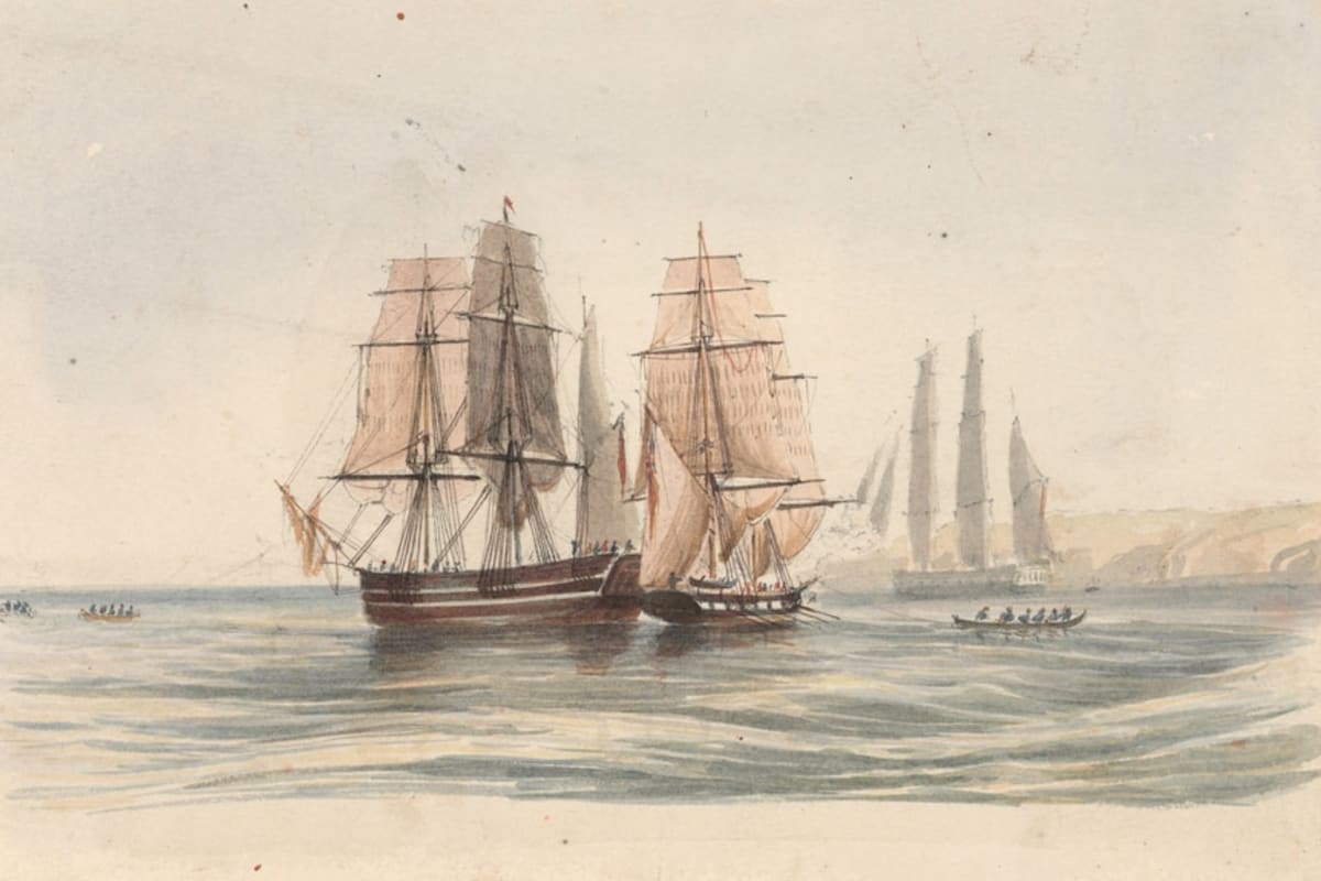 Hidden 1800s Art Album Goes Online for First Time - Image 3