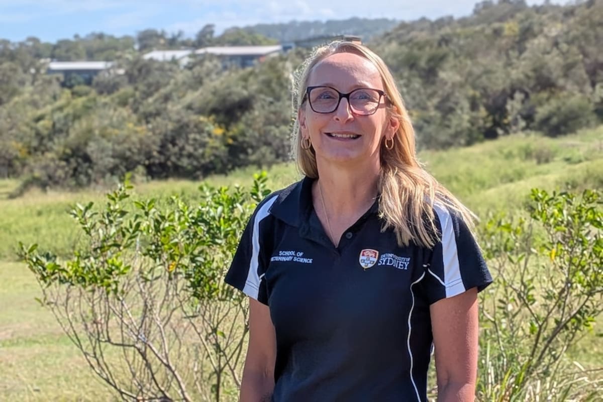 NSW Scientists Rescue Isolated Kangaroo Mob with New Plan - Image 3