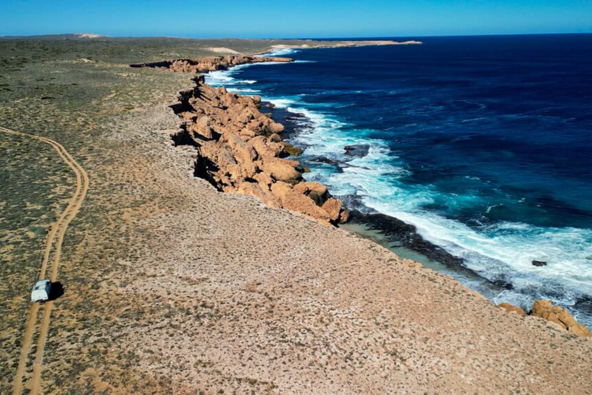 Remote Island Welcomes Endangered Marsupials After Decade - Image 5