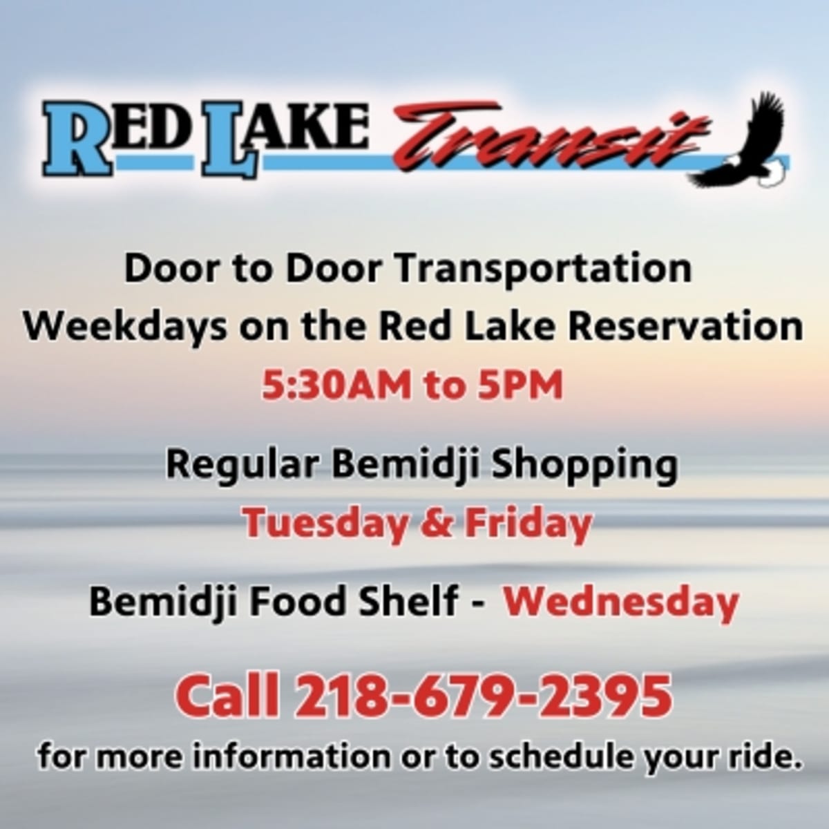 Bemidji Gets 10,000 Free Trees After Devastating Storm - Image 2