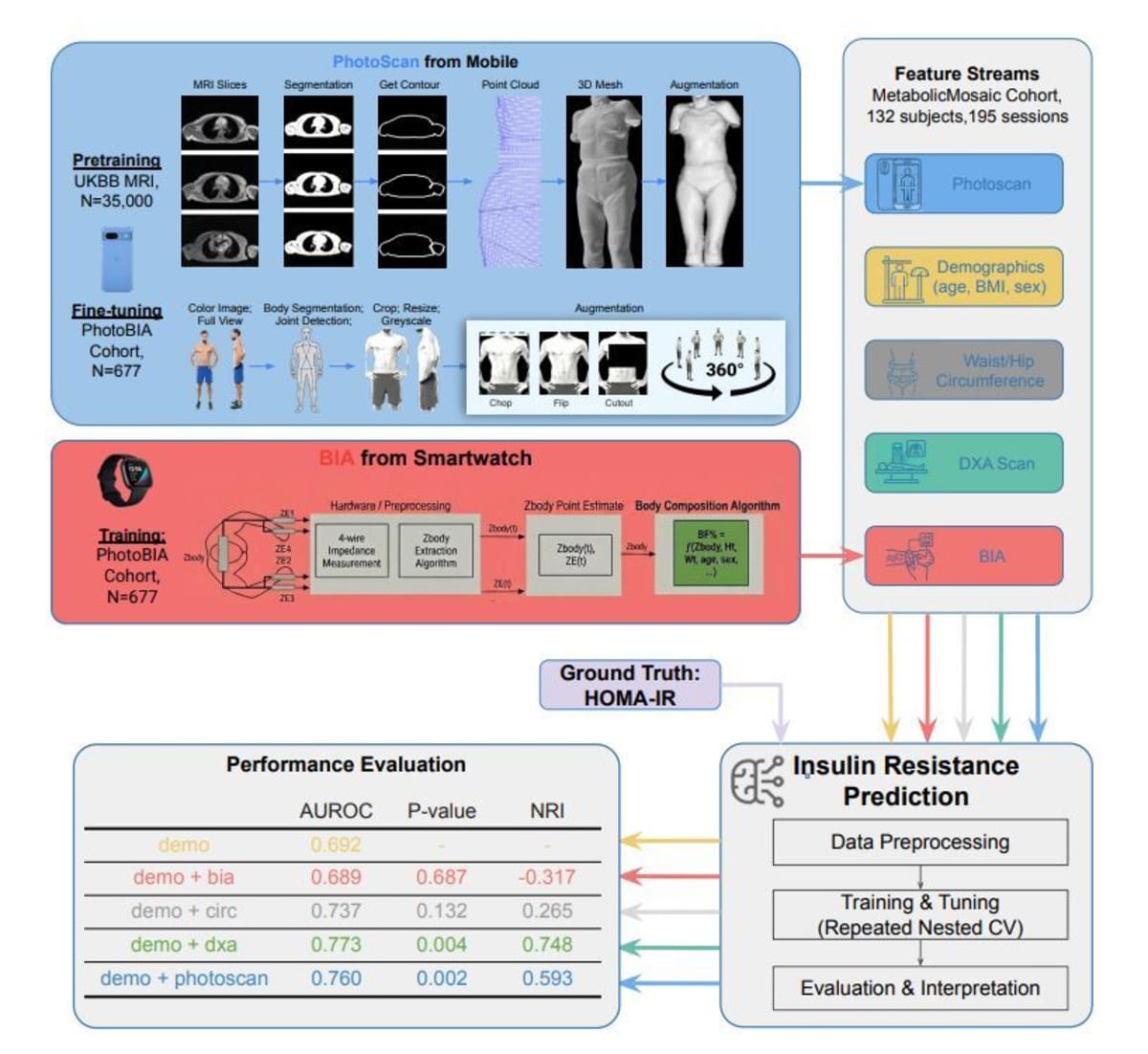 Google AI Turns Smartphone Camera Into Body Fat Scanner - Image 4