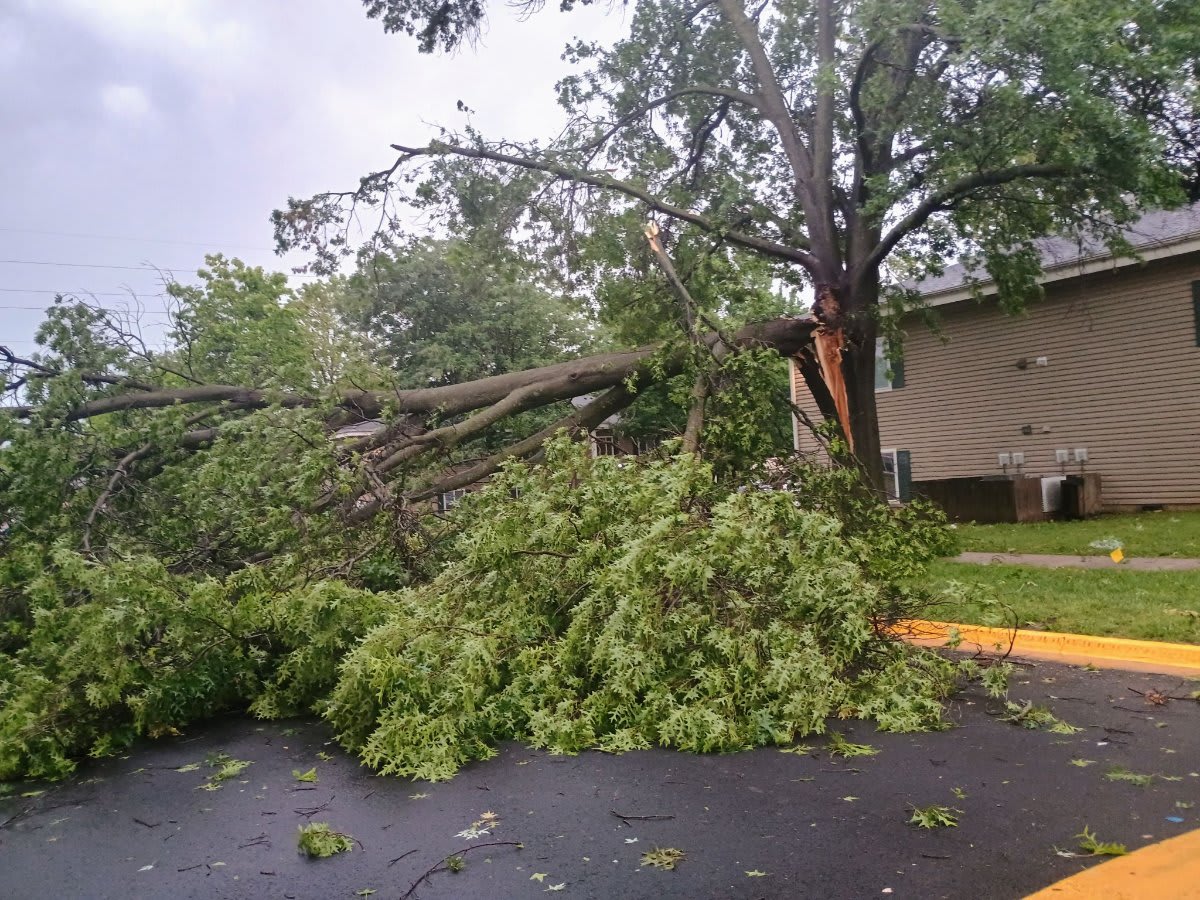 Joplin Needs Storm Cleanup Volunteers After Severe Winds