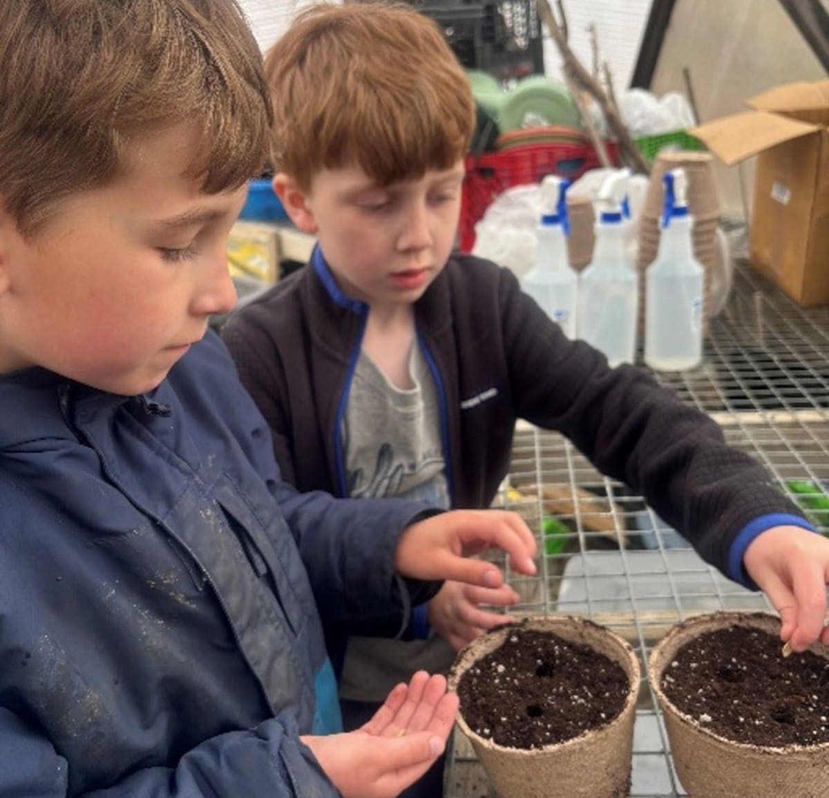 Students working with technology equipment and tending plants in outdoor garden at Maine charter school