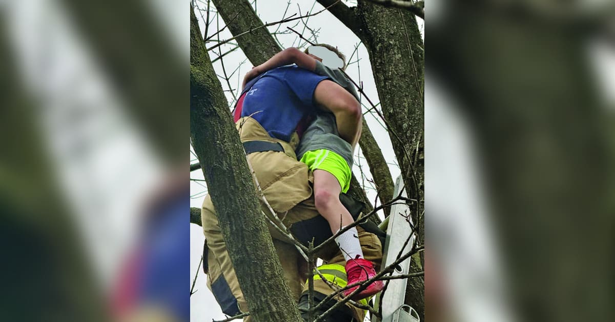 Ashland City firefighter on ladder rescuing young boy from tall tree branches