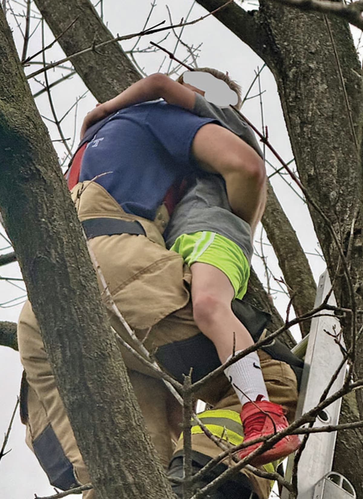 Ashland City Firefighters Rescue Child Stuck in Tree - Image 2