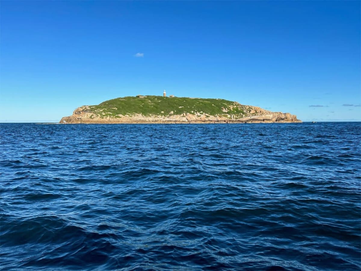 Australia Launches First Offshore Wind Auction for 2GW