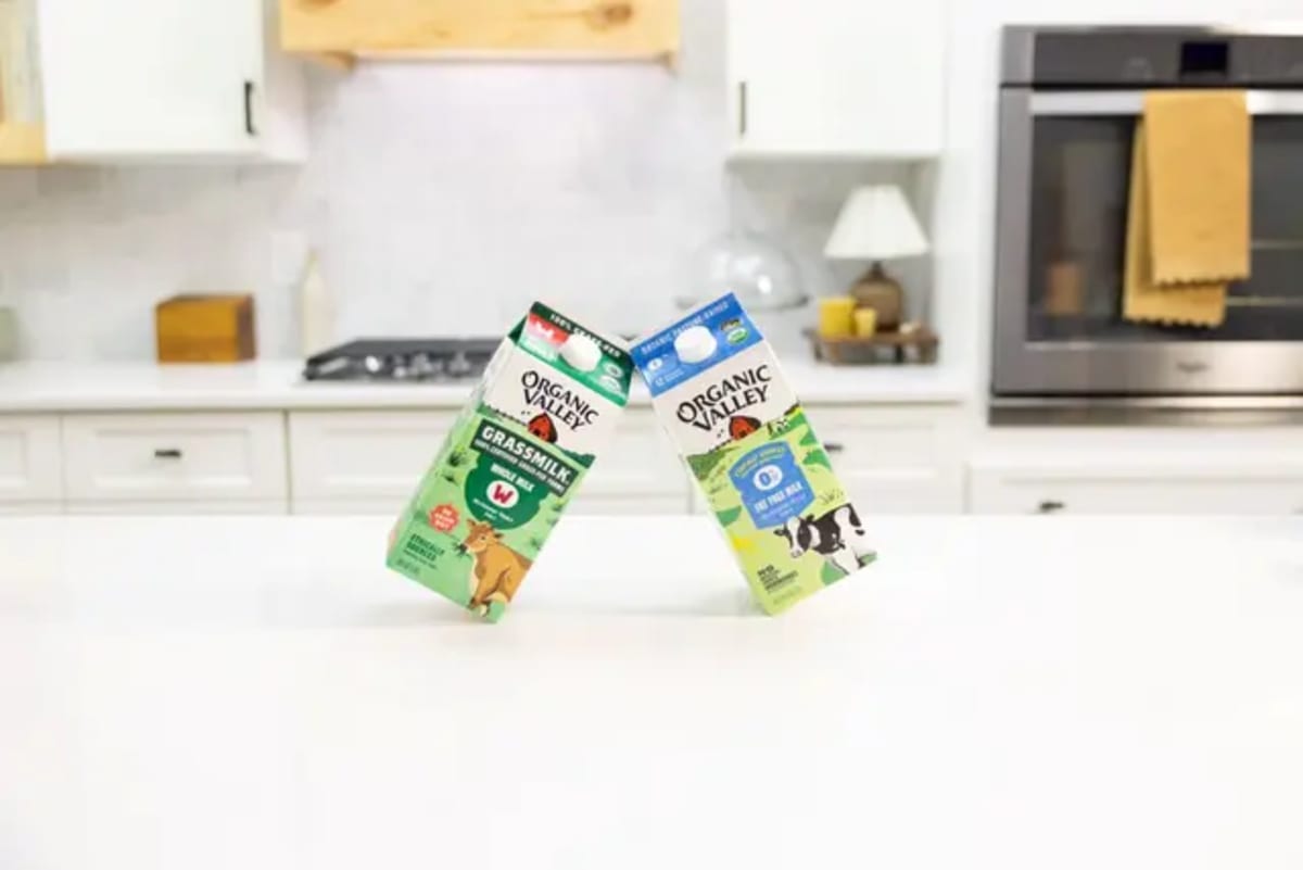 Solar panels installed on organic dairy farm barn with green pastures and cows grazing