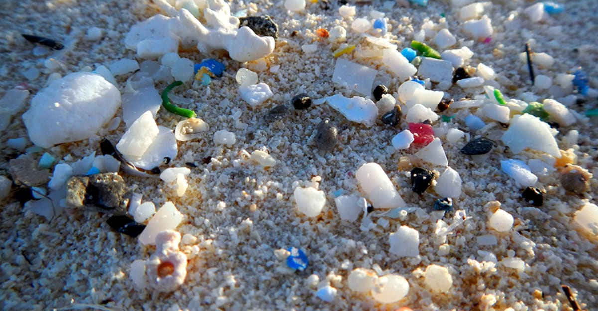 8,000 Volunteers Remove 20,000 Pounds of Ocean Trash