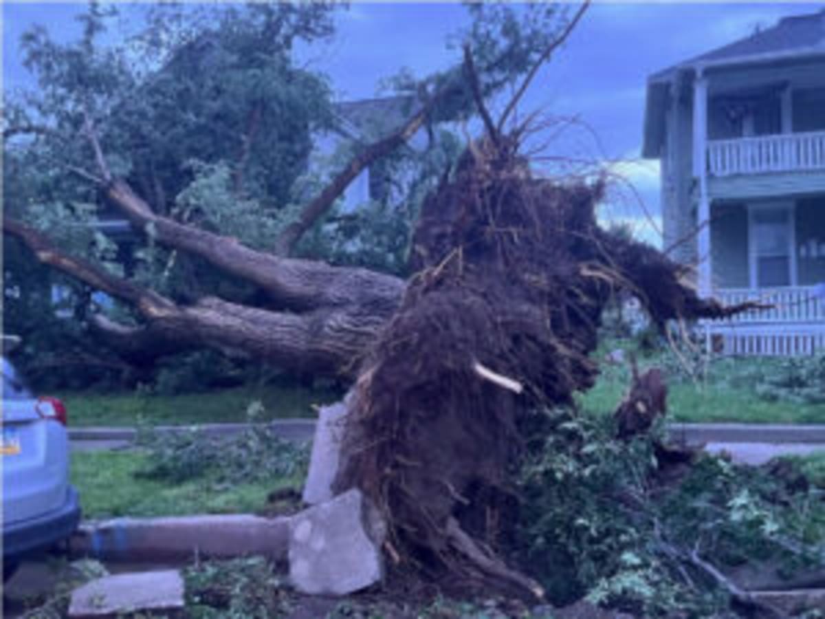 Kansas Volunteers Clear Storm Damage in 100 MPH Wind Cleanup - Image 4