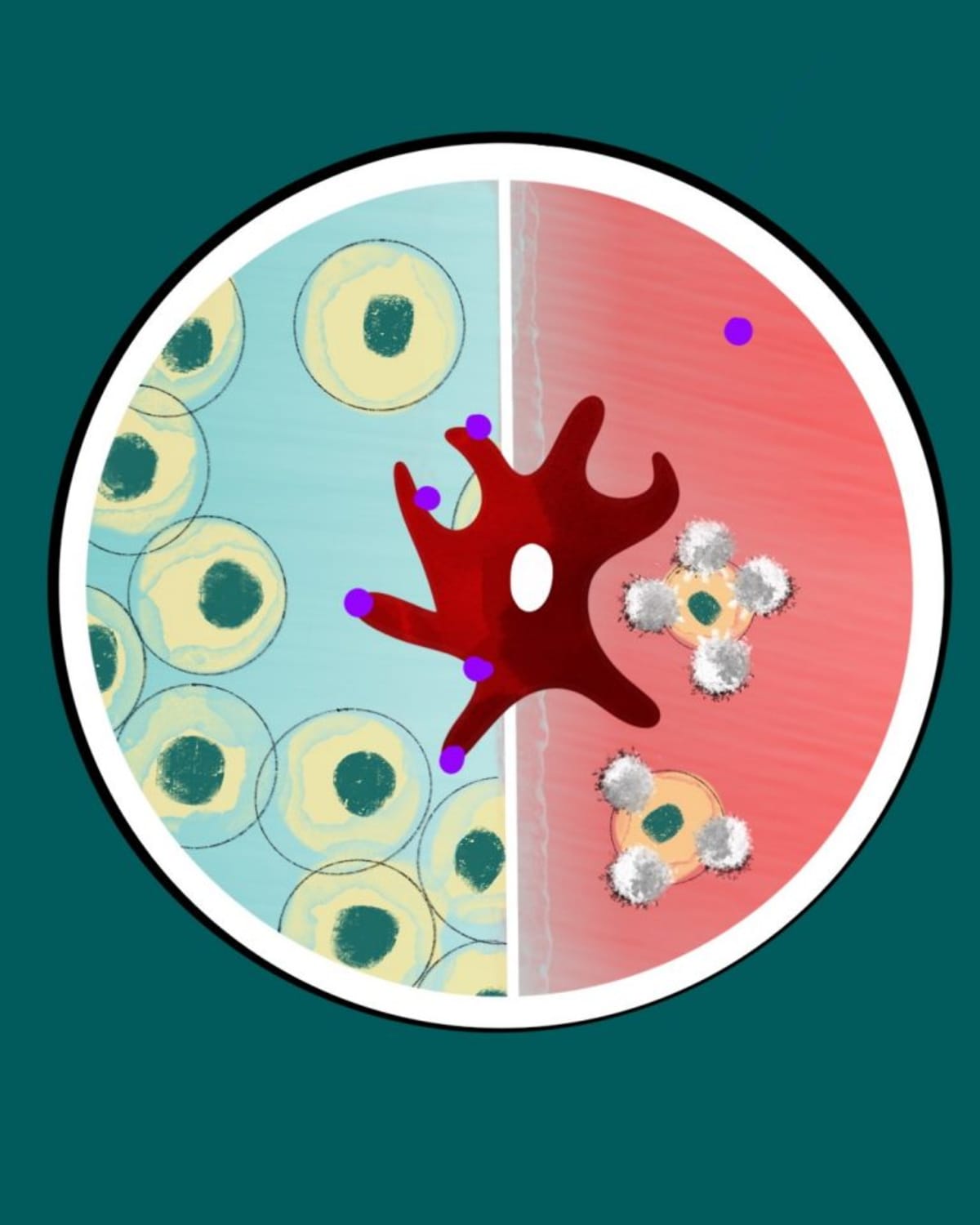 Blood Test Predicts Cancer Treatment Success - Image 5