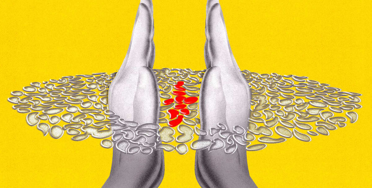 Stanford Finds Skin's Master Switch for Healing & Cancer - Image 5