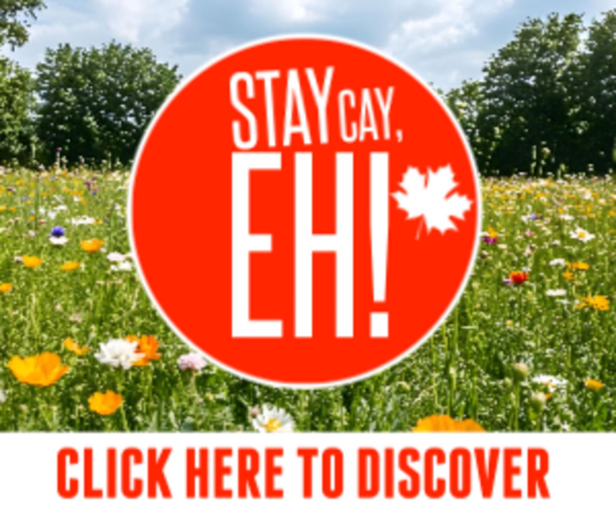 Paralympic Gold Winner Jon Thurston Honored in Peterborough - Image 3