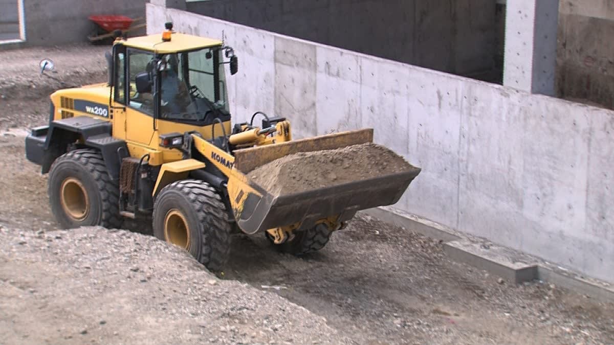 Prince George Unemployment Drops to 5.2% in One Year