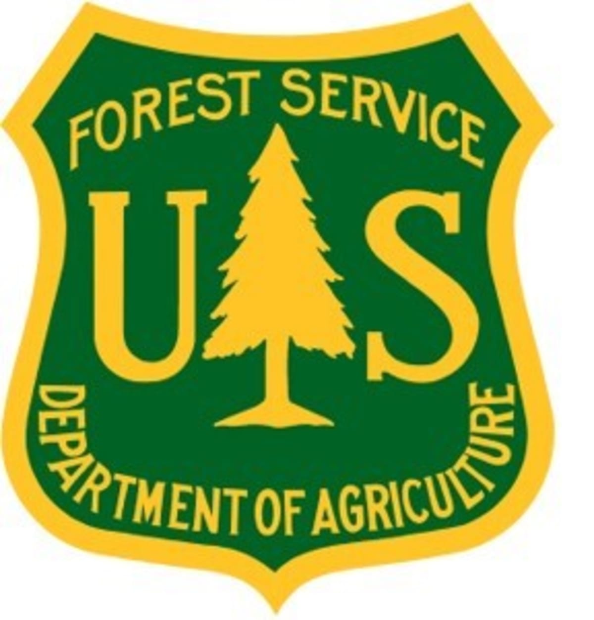 New Mexico Plants 40,000 Trees After Devastating Wildfires