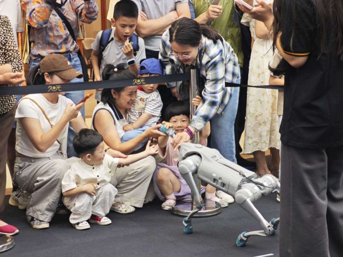Backflipping Robots Make Chinese Firm Worth $50 Billion - Image 5
