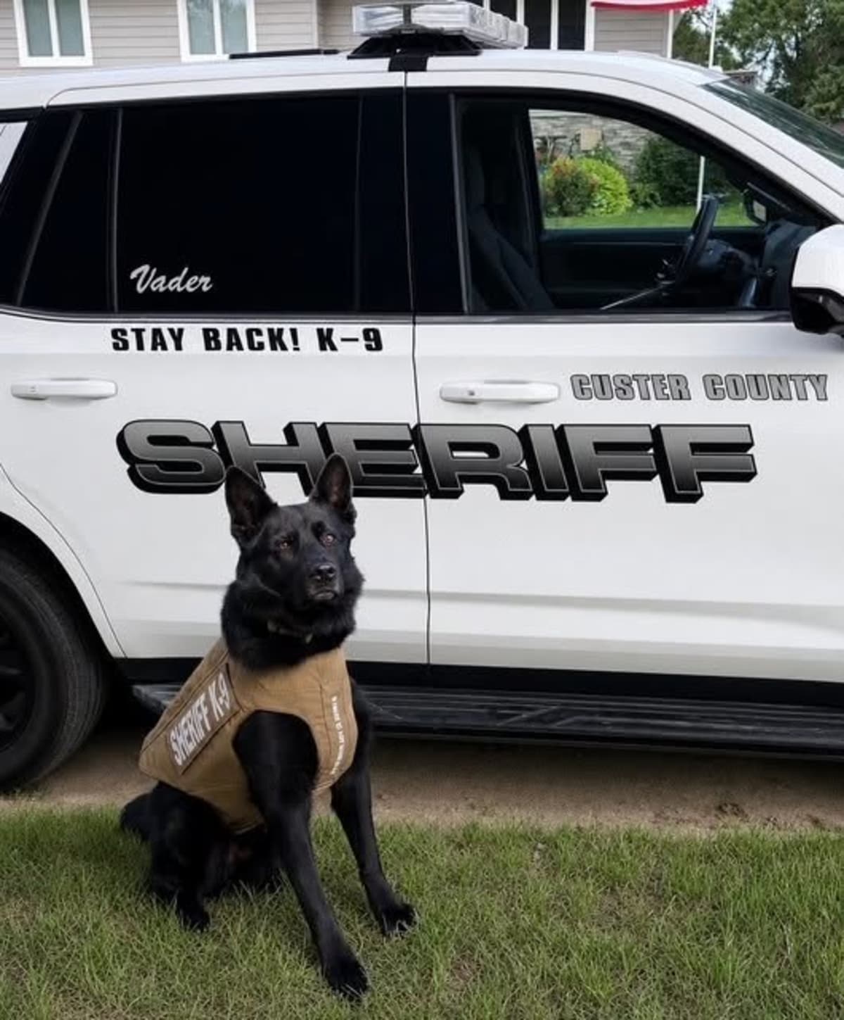 Nebraska K9 Vader Gets Life-Saving Vest from Donor - Image 2