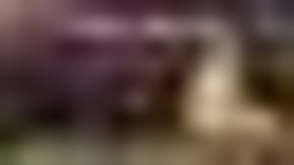 Georgia Woman Beats Coma, Now Seeks Kidney Donor - Image 4