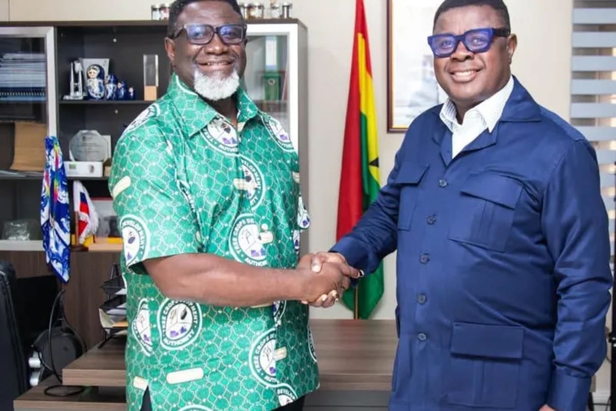 Ghana Boosts Agricultural Exports Across Africa - Image 2
