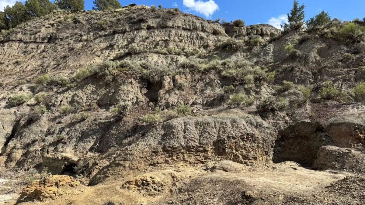 First T. Rex Trackway Found in North Dakota