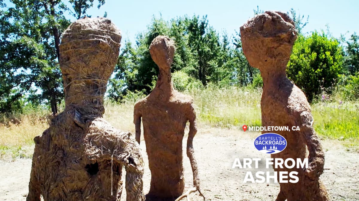 Eco-sculpture made from burned trees stands in Trailside Park with green forest background
