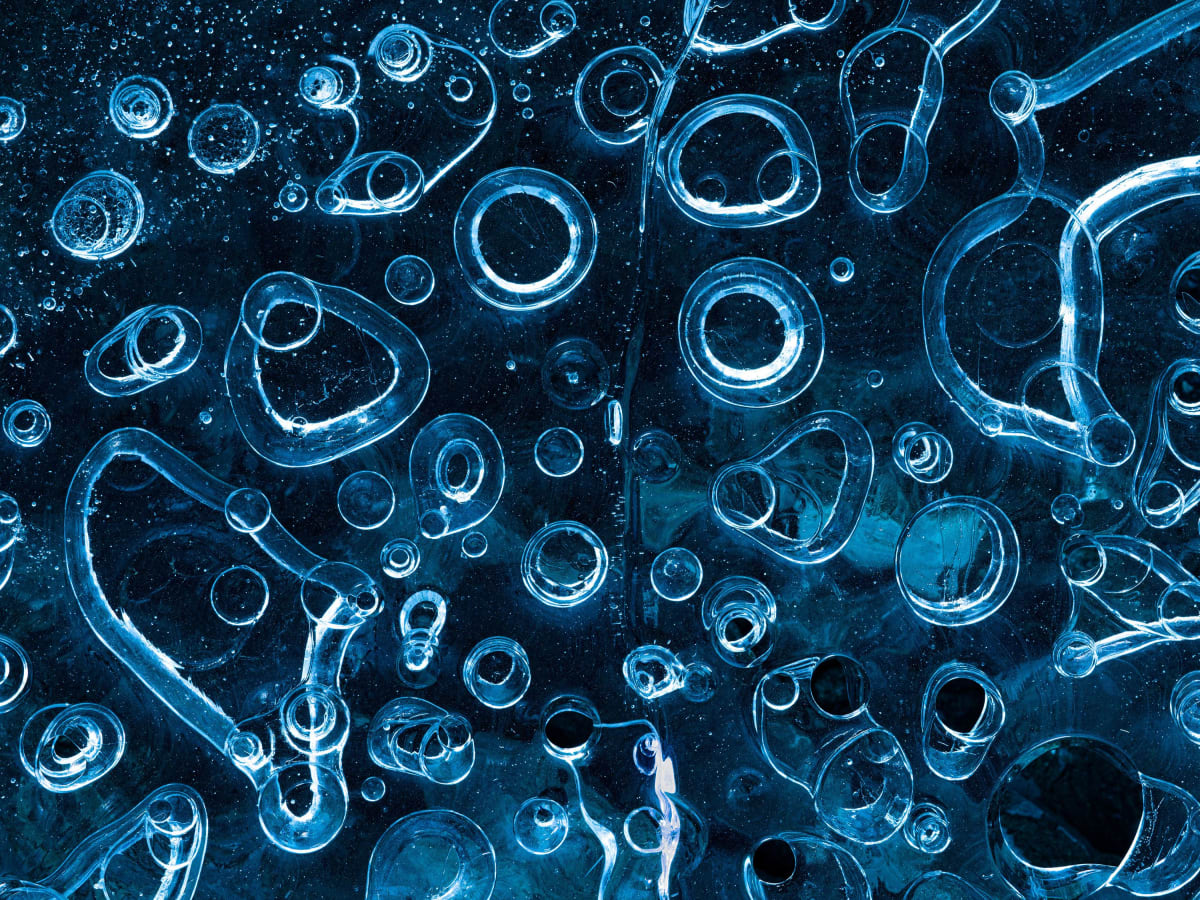Pandemic Walks Sparked Photographer's Stunning Nature Book - Image 4