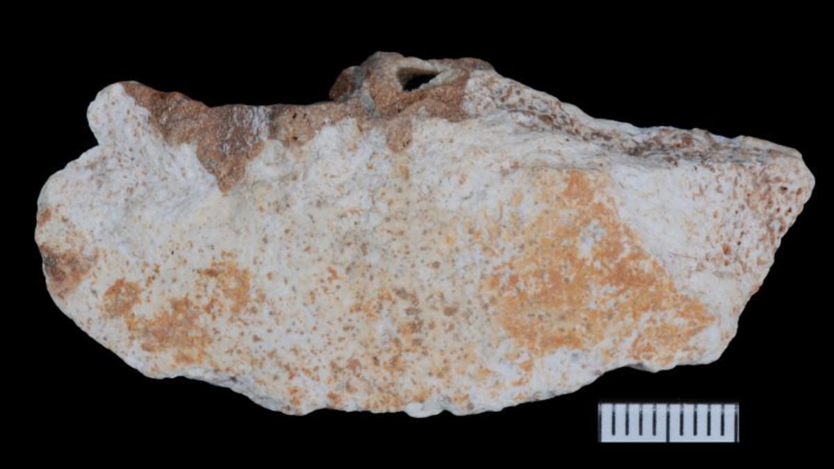 China Cave Reveals How Extinct Denisovans Hunted and Lived