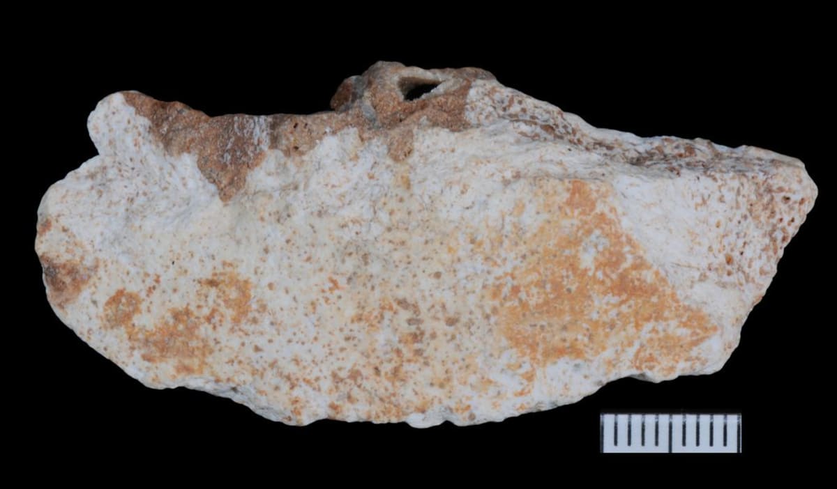 China Cave Reveals How Extinct Denisovans Hunted and Lived - Image 2