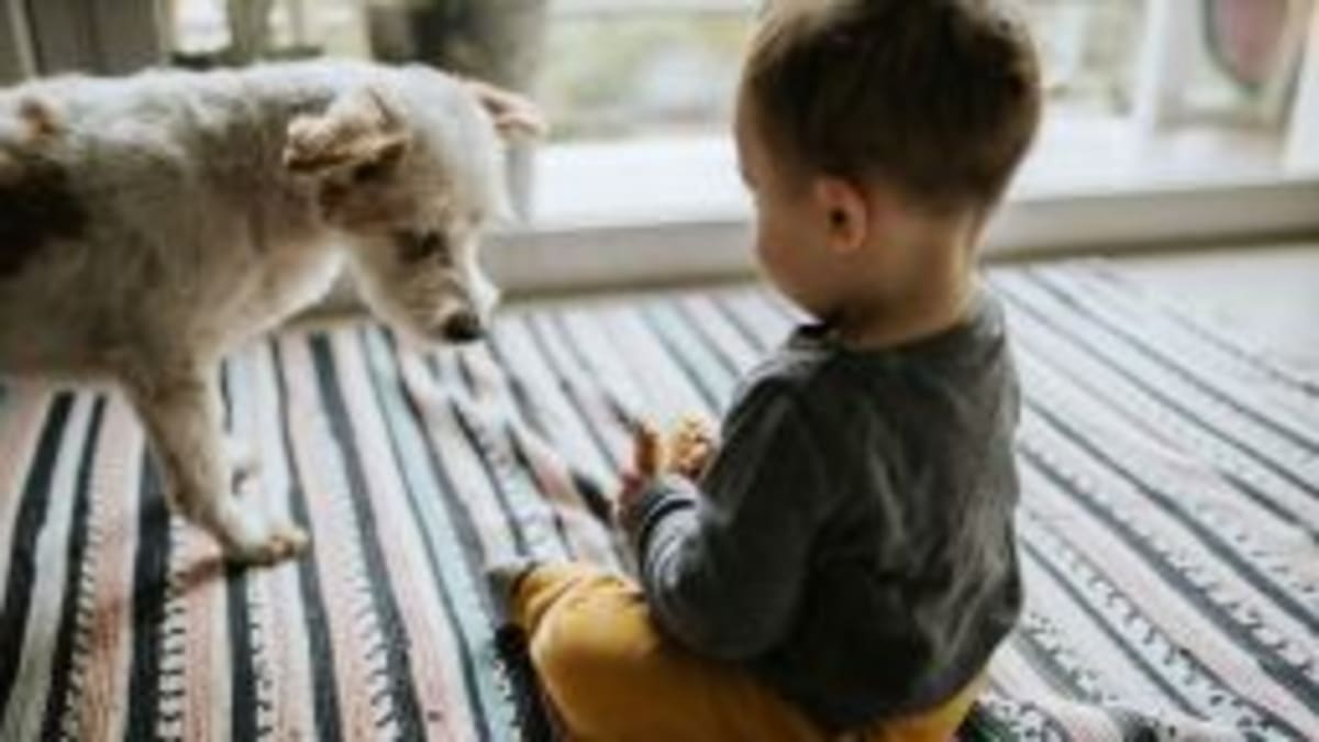 Egg Allergies Drop 17% After Guidelines Shift - Image 4