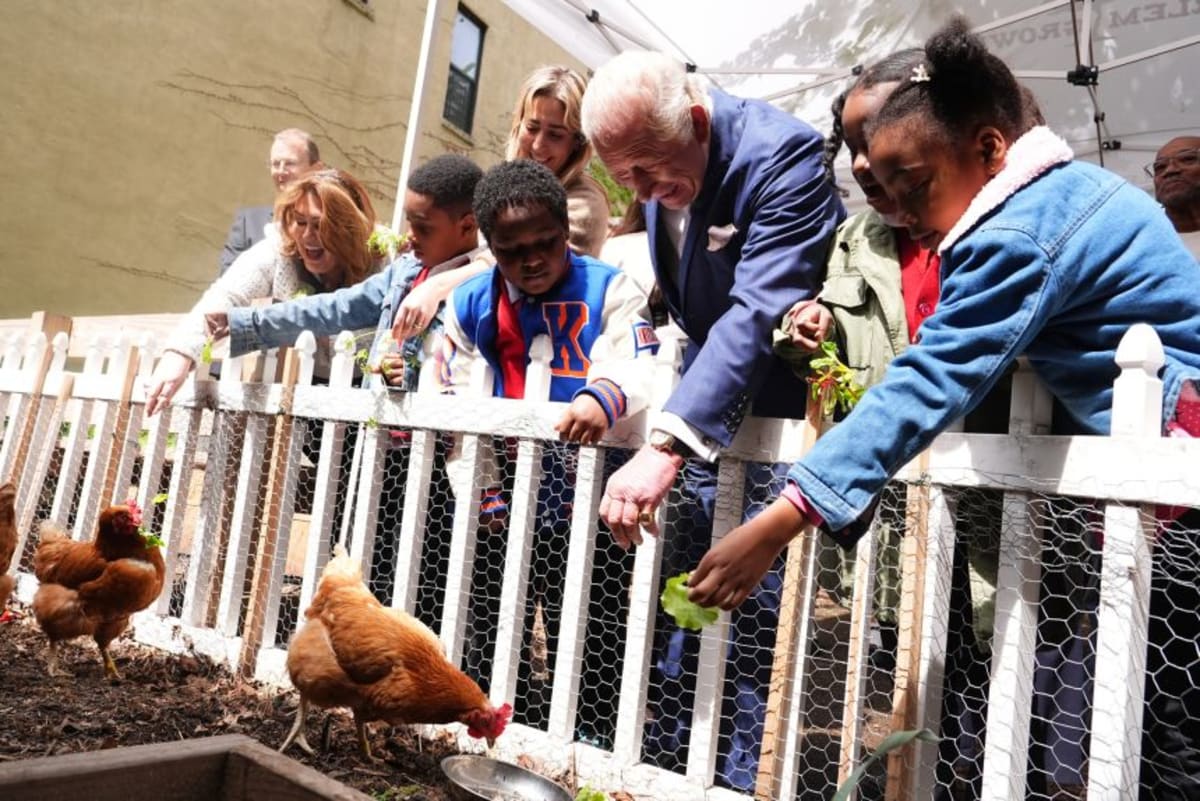 King Charles Honors 9/11 Victims at NYC Memorial - Image 4