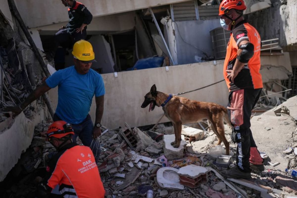 Rescue Dogs Save 25 Lives in Venezuela Earthquakes - Image 2